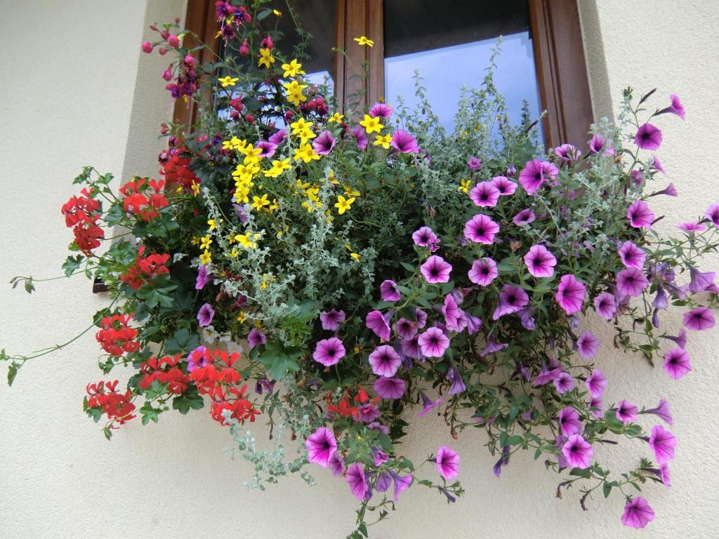 Bed and Breakfast Haus Rye Obertraun Zimmer foto